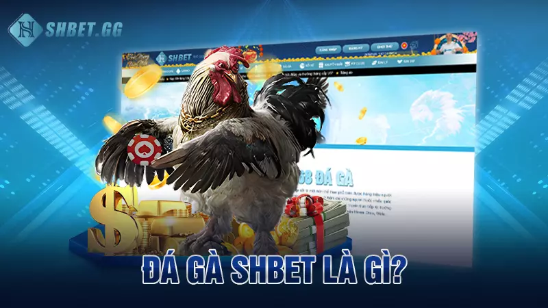 SHBET – Trang Chủ, Sản Phẩm & Hướng Dẫn Truy Cập 13 Đá gà Shbet là gì?