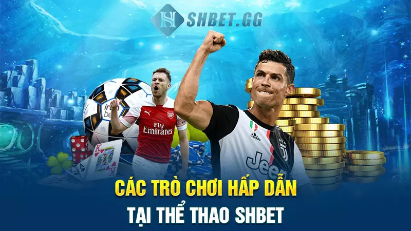 SHBET – Trang Chủ, Sản Phẩm & Hướng Dẫn Truy Cập 12 Các trò chơi hấp dẫn tại thể thao SHBET