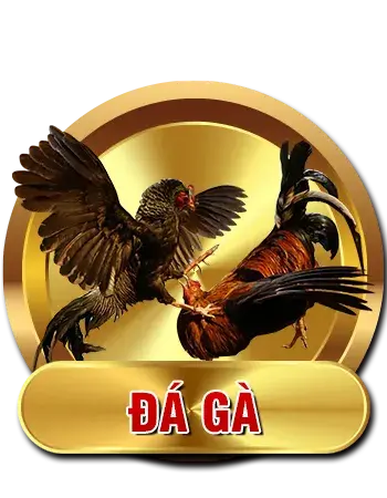 SHBET – Trang Chủ, Sản Phẩm & Hướng Dẫn Truy Cập 7 cock